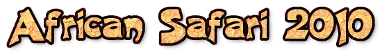 African Safari 2010